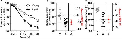 Aging or chronic stress impairs working memory and modulates GABA and glutamate gene expression in prelimbic cortex